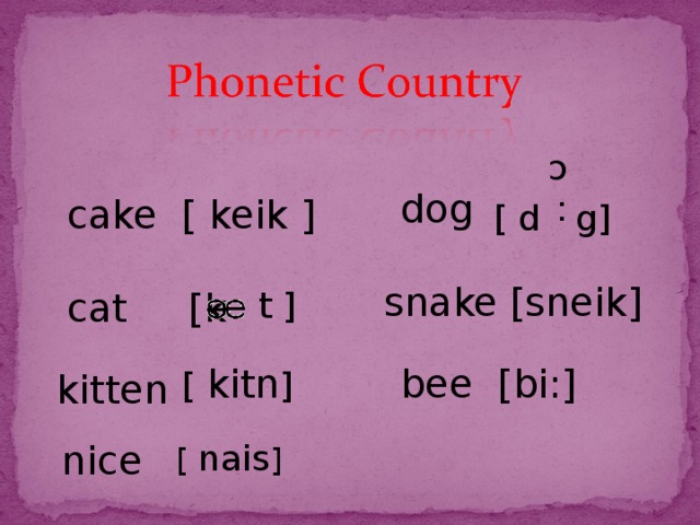 :c dog cake [ keik ] cat [k  [ d g] snake [sneik] t ] [ kitn ] bee [bi:] kitten nice [ nais ]