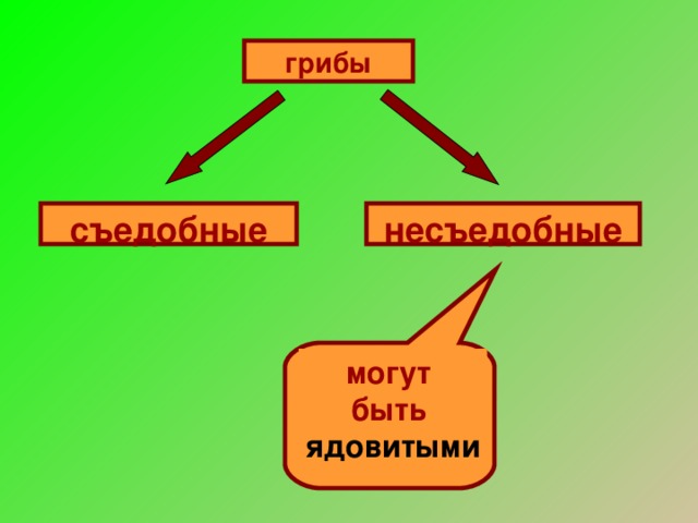 грибы несъедобные съедобные могут быть ядовитыми