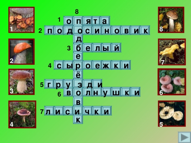 8 1  о п я т а 8  п о д о с и н о в и к 1 2  д  б е л ы й 3  е 2 7  с ы р о е ж к и 4  ё  г р у з д и 5 3  в о л н у ш к и 6 6  в  л и с и ч к и 7  к 4 5