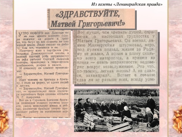 Из газеты «Ленинградская правда»