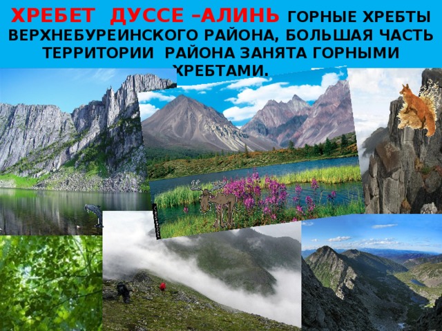 ХРЕБЕТ ДУССЕ –АЛИНЬ ГОРНЫЕ ХРЕБТЫ ВЕРХНЕБУРЕИНСКОГО РАЙОНА, БОЛЬШАЯ ЧАСТЬ ТЕРРИТОРИИ РАЙОНА ЗАНЯТА ГОРНЫМИ ХРЕБТАМИ.