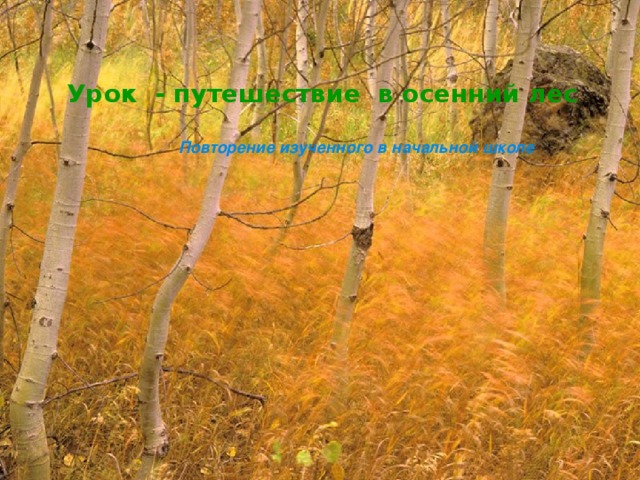 Урок - путешествие в осенний лес   Повторение изученного в начальной школе