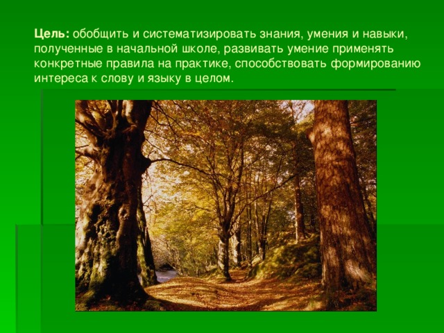 Цель: обобщить и систематизировать знания, умения и навыки, полученные в начальной школе, развивать умение применять конкретные правила на практике, способствовать формированию интереса к слову и языку в целом.