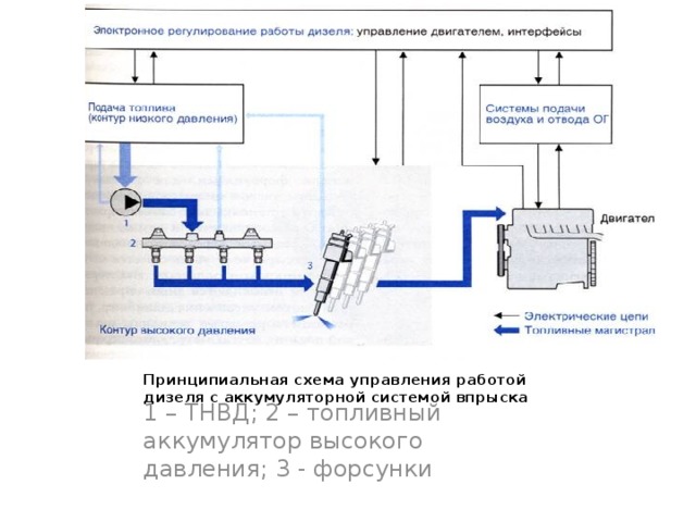 Принципиальная схема управления работой дизеля с аккумуляторной системой впрыска 1 – ТНВД; 2 – топливный аккумулятор высокого давления; 3 - форсунки