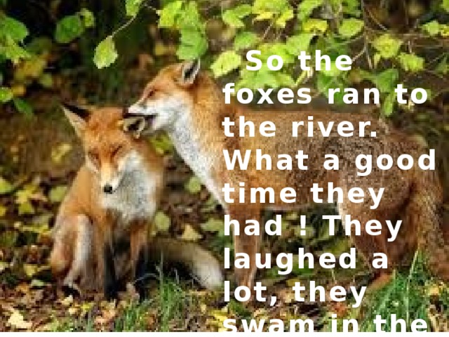 So the foxes ran to the river. What a good time they had ! They laughed a lot, they swam in the river, they danced with little bears.