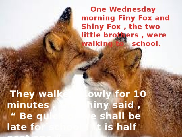 One Wednesday morning Finy Fox and Shiny Fox , the two little brothers , were walking to school.  They walked slowly for 10 minutes , the Shiny said , “ Be quick or we shall be late for school ! It is half past one ”.