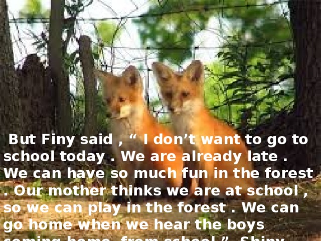 But Finy said , “ I don’t want to go to school today . We are already late . We can have so much fun in the forest . Our mother thinks we are at school , so we can play in the forest . We can go home when we hear the boys coming home from school ”. Shiny said this was a good idea.