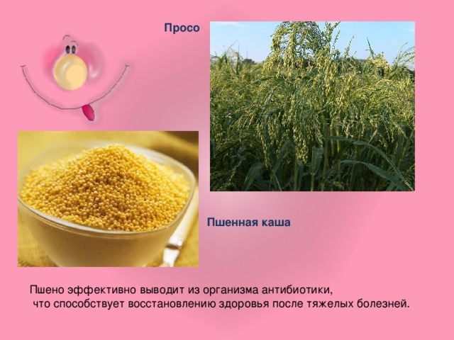 Просо Пшенная каша Совершенно незаменимый продукт при сердечно-сосудистых заболеваниях, пшённая каша выводит лишние соли, поэтому чрезвычайно полезна людям, мечтающим сбросить лишний вес. Пшено эффективно выводит из организма антибиотики, что способствует восстановлению здоровья после тяжелых болезней.   Пшено эффективно выводит из организма антибиотики,  что способствует восстановлению здоровья после тяжелых болезней.