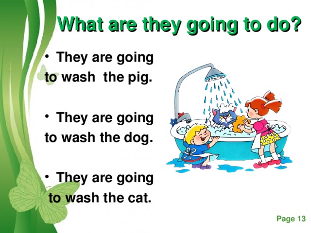 What are they going to  do? They are going to wash the pig.  They are going to wash the dog.  They are going  to wash the cat.