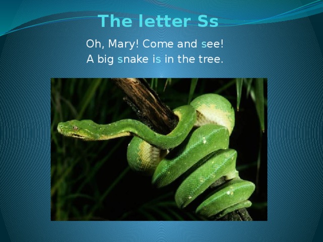 The letter Ss   Oh, Mary! Come and s ee! A big s nake i s in the tree.