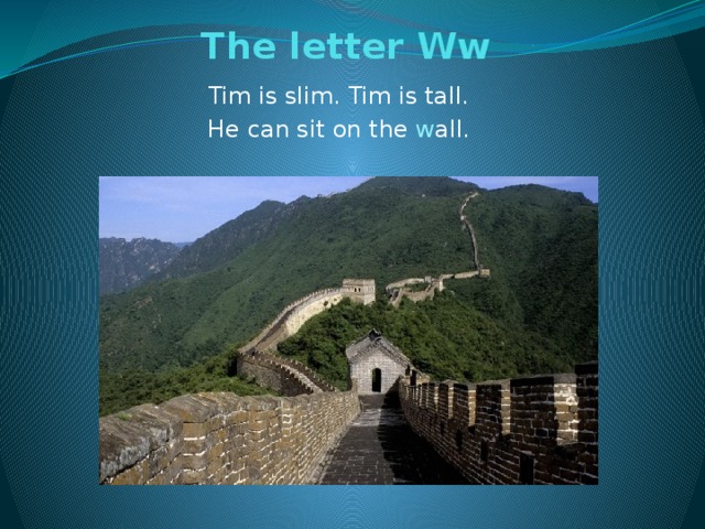 The letter Ww   Tim is slim. Tim is tall. He can sit on the w all.