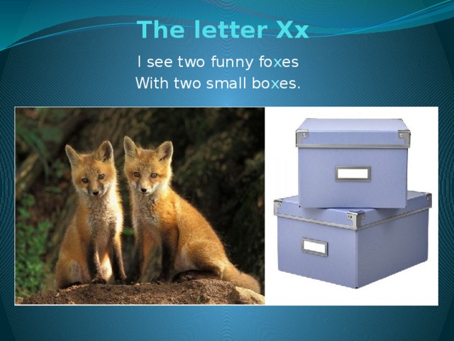 The letter Xx   I see two funny fo x es With two small bo x es.
