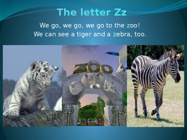 The letter Zz   We go, we go, we go to the z oo! We can see a tiger and a z ebra, too.