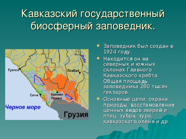 Кавказский государственный биосферный заповедник.