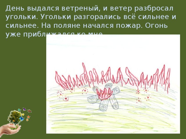 День выдался ветреный, и ветер разбросал угольки. Угольки разгорались всё сильнее и сильнее. На поляне начался пожар. Огонь уже приближался ко мне.