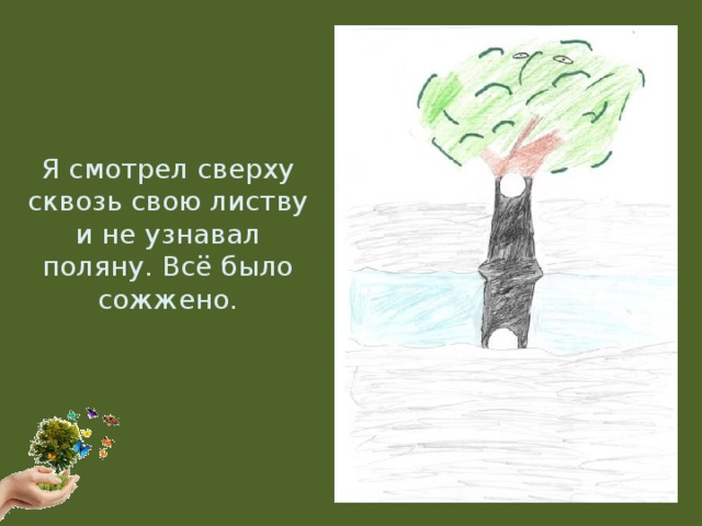 Я смотрел сверху сквозь свою листву и не узнавал поляну. Всё было сожжено.