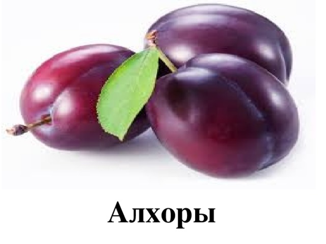 Алхоры