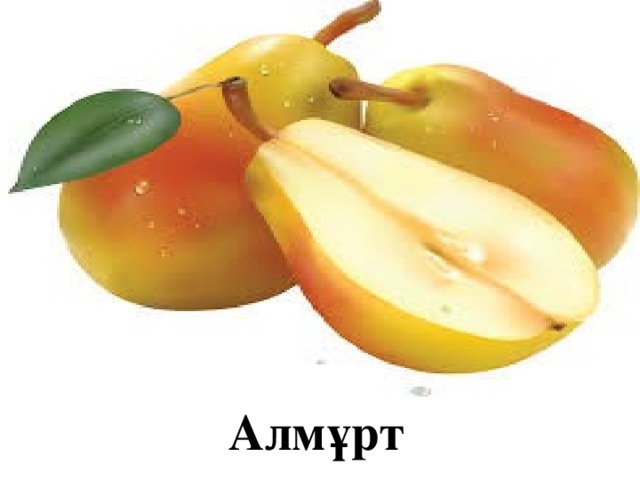 Алмұрт