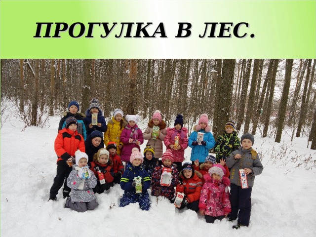 ПРОГУЛКА В ЛЕС.