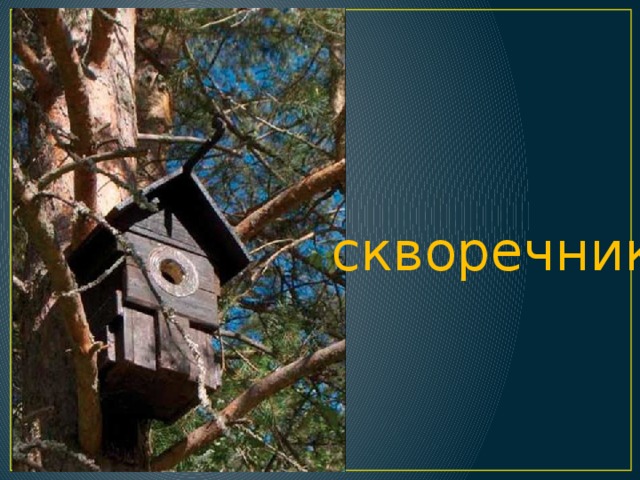 скворечник