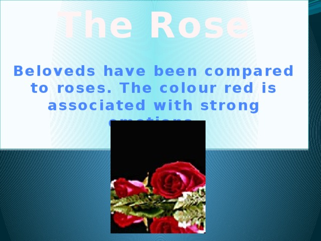 The Rose   Beloveds have been compared to roses. The colour red is associated with strong emotions.