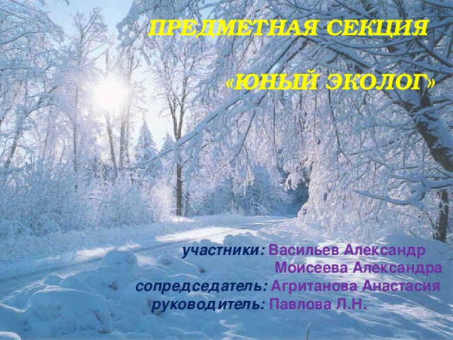 ПРЕДМЕТНАЯ СЕКЦИЯ  «ЮНЫЙ ЭКОЛОГ»  участники:  Васильев Александр  Моисеева Александра  сопредседатель:  Агританова Анастасия  руководитель:  Павлова Л.Н.