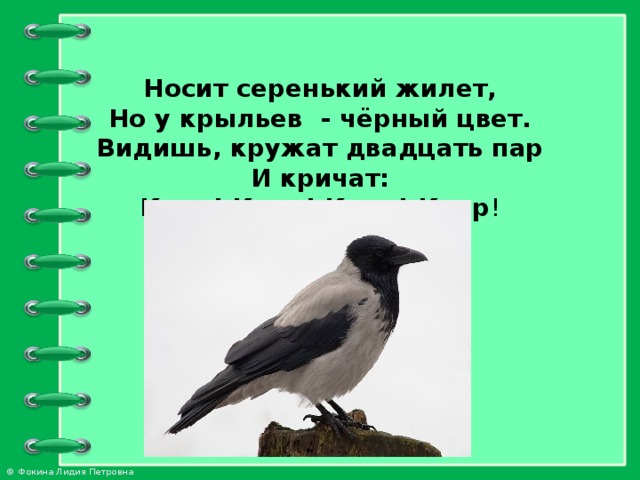 Носит серенький жилет,  Но у крыльев - чёрный цвет.  Видишь, кружат двадцать пар  И кричат:  Карр! Карр! Карр! Карр !