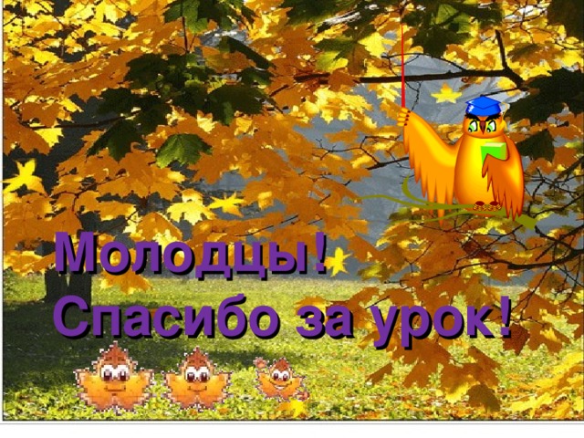 Молодцы! Спасибо за урок!