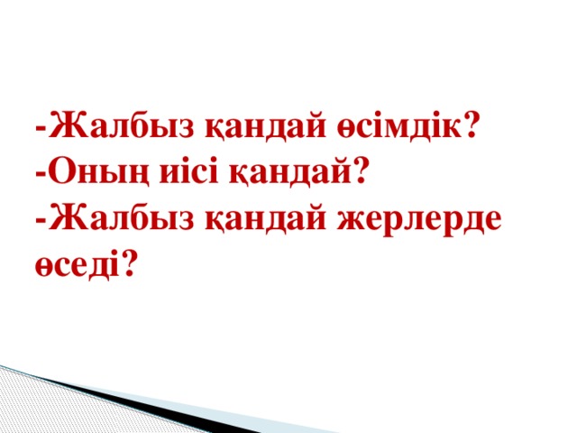 -Жалбыз қандай өсімдік?  -Оның иісі қандай?  -Жалбыз қандай жерлерде өседі?