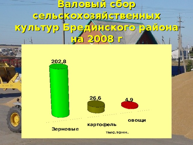 Валовый сбор сельскохозяйственных культур Брединского района на 2008 г