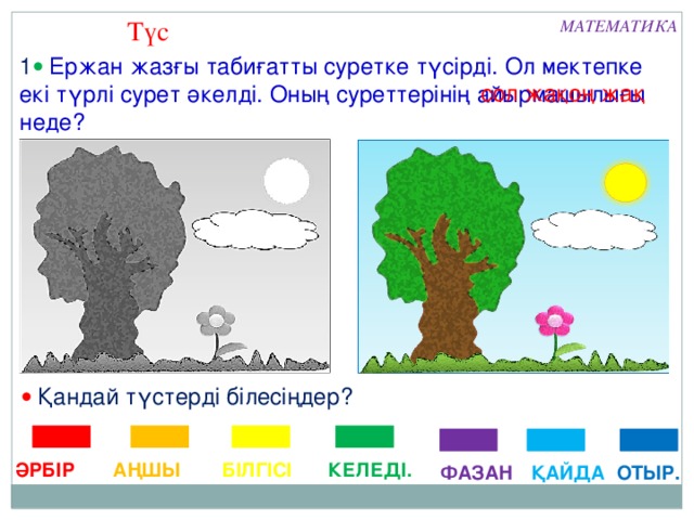 Түс МАТЕМАТИКА 1   Ержан жазғы табиғатты суретке түсірді. Ол мектепке екі түрлі сурет әкелді. Оның суреттерінің айырмашылығы неде? сол жақ оң жақ   Қандай түстерді білесіңдер? ӘРБІР АҢШЫ БІЛГІСІ КЕЛЕДІ. ҚАЙДА ОТЫР. ФАЗАН