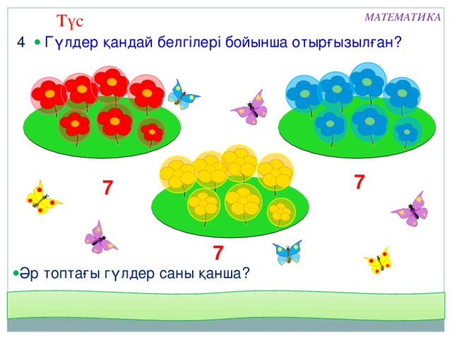 Түс МАТЕМАТИКА 4  Гүлдер қандай белгілері бойынша отырғызылған? 7 7 7   Әр топтағы гүлдер саны қанша?