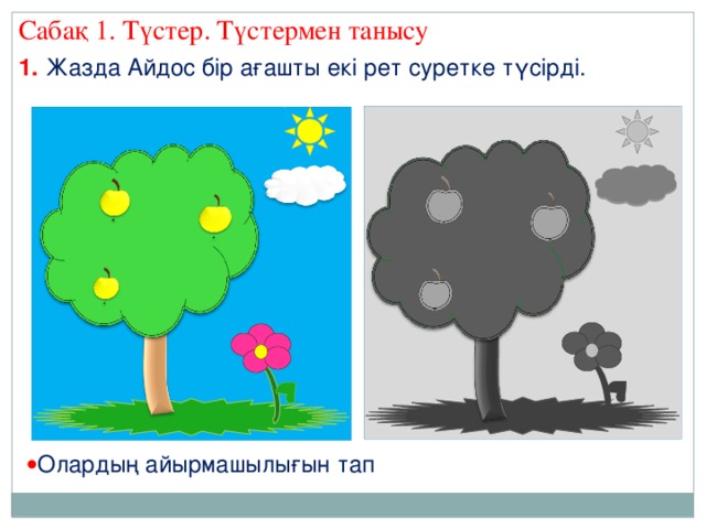 Сабақ 1. Түстер. Түстермен танысу 1. Жазда Айдос бір ағашты екі рет суретке түсірді.  Олардың айырмашылығын тап