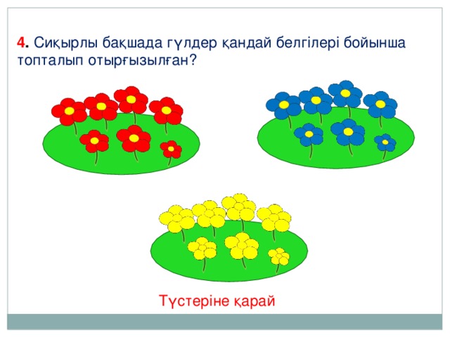 4 . Сиқырлы бақшада гүлдер қандай белгілері бойынша топталып отырғызылған? Түстеріне қарай