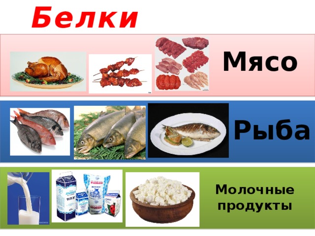 Белки      Мясо      Рыба      Молочные продукты