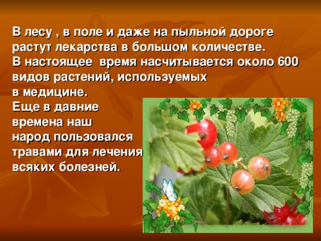 В лесу , в поле и даже на пыльной дороге растут лекарства в большом количестве. В настоящее время насчитывается около 600 видов растений, используемых в медицине. Еще в давние времена наш народ пользовался травами для лечения всяких болезней.