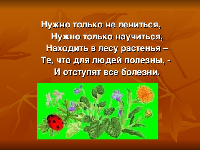 Нужно только не лениться,  Нужно только научиться,  Находить в лесу растенья –  Те, что для людей полезны, -  И отступят все болезни.