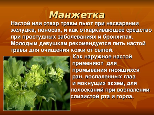 Манжетка Настой или отвар травы пьют при несварении желудка, поносах, и как отхаркивающее средство при простудных заболеваниях и бронхитах. Молодым девушкам рекомендуется пить настой травы для очищения кожи от сыпей.  Как наружное настой  применяют для  промывания гноящихся  ран, воспаленных глаз  и мокнущих экзем, для  полосканий при воспалении  слизистой рта и горла.