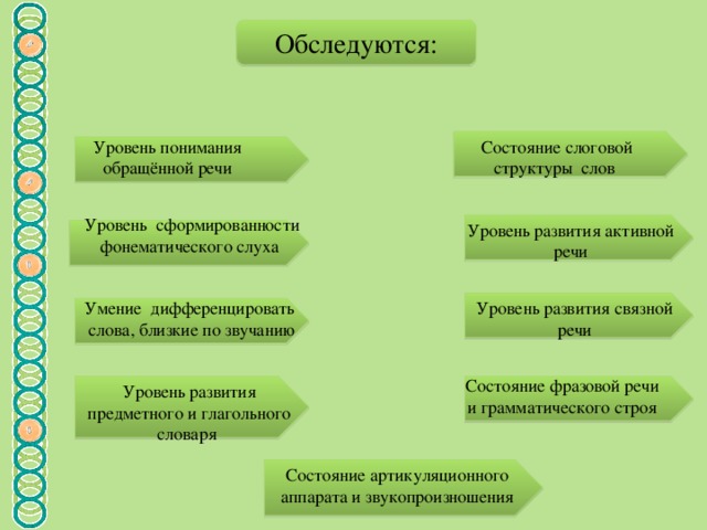 Обследуются: Уровень понимания обращённой речи Состояние слоговой структуры слов Уровень сформированности фонематического слуха Уровень развития активной  речи Умение дифференцировать  слова, близкие по звучанию Уровень развития связной  речи Состояние фразовой речи  и грамматического строя Уровень развития предметного и глагольного словаря Состояние артикуляционного аппарата и звукопроизношения