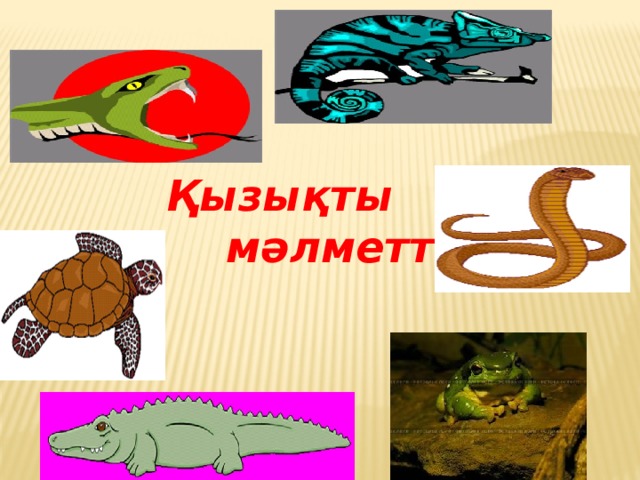 Қызықты мәлметтер