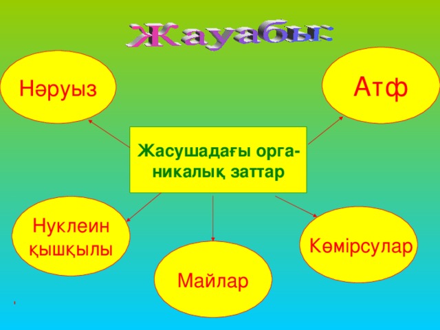 Атф Нәруыз Жасушадағы орга- никалық заттар Нуклеин қышқылы  Көмірсулар Майлар