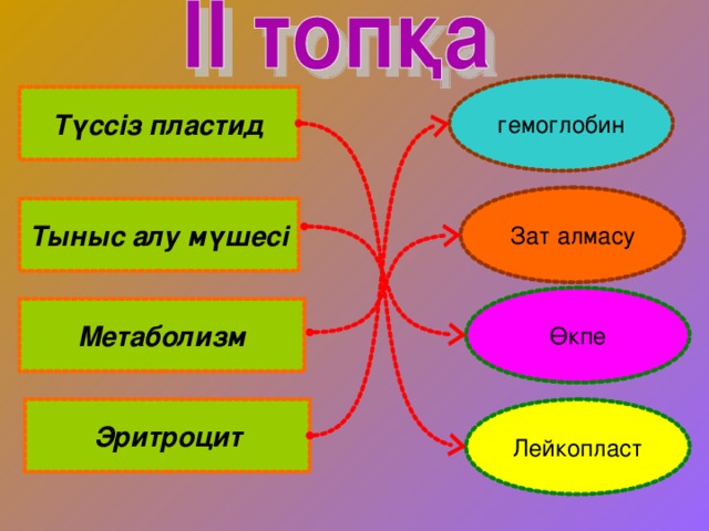 гемоглобин Түссіз пластид Зат алмасу Тыныс алу мүшесі Өкпе Метаболизм Эритроцит Лейкопласт