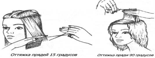 Словарь парикмахера с картинками