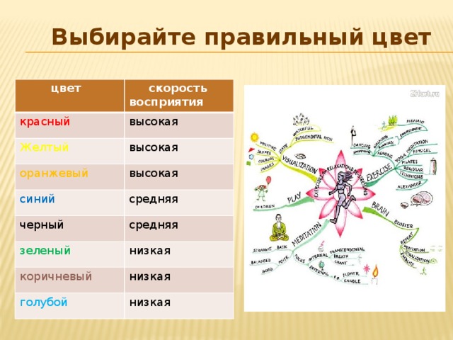 Выбирайте правильный цвет  цвет  скорость восприятия красный высокая Желтый высокая оранжевый высокая синий средняя черный средняя зеленый низкая коричневый низкая голубой низкая