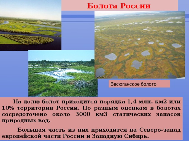 Болота России Васюганское болото  На долю болот приходится порядка 1,4 млн. км2 или 10% территории России. По разным оценкам в болотах сосредоточено около 3000 км3 статических запасов природных вод.  Большая часть из них приходится на Северо-запад европейской части России и Западную Сибирь.