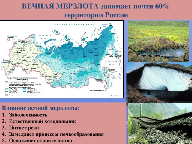 ВЕЧНАЯ МЕРЗЛОТА занимает почти 60% территории России Влияние вечной мерзлоты: