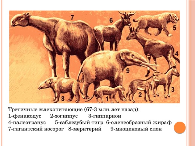 Третичные млекопитающие (67-3 млн.лет назад):  1-фенакодус 2-эогиппус 3-гиппарион  4-палеотранус 5-саблезубый тигр 6-оленеобразный жираф  7-гигантский носорог 8-меритерий 9-миоценовый слон