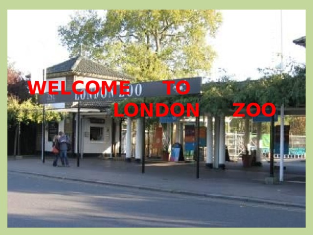 WELCOME TO LONDON ZOO