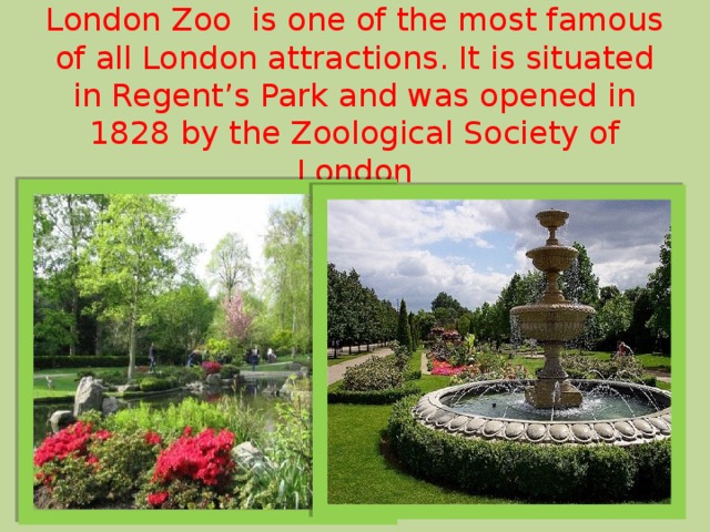 London Zoo  is one of the most famous of all London attractions. It is situated in Regent’s Park and was opened in 1828 by the Zoological Society of London .