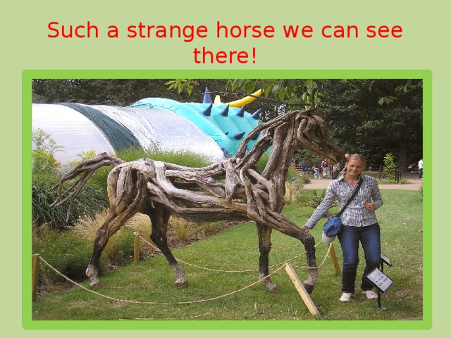 Such a strange horse we can see there!
